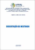 2017 - Marcela Braga de Souza.pdf.jpg