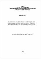 2019 - Nelson Oscaranha Gonsales da Costa.pdf.jpg