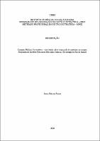 2020 - Lucas Ribeiro Ferraz.pdf.jpg