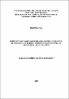2019 - Mariana Moreira da Silva Murakami.pdf.jpg