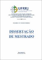 2013 - Ricardo de Souza Ribeiro.pdf.jpg