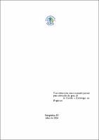 2006 - Luciana Pucci Santos.pdf.jpg